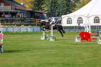 2025 - Shea - Fall Finale - Sunday September 14th - 11490