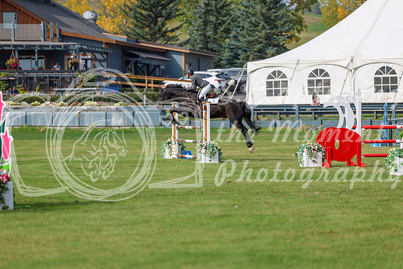 2025 - Shea - Fall Finale - Sunday September 14th - 11490