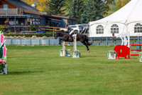 2025 - Shea - Fall Finale - Sunday September 14th - 11491