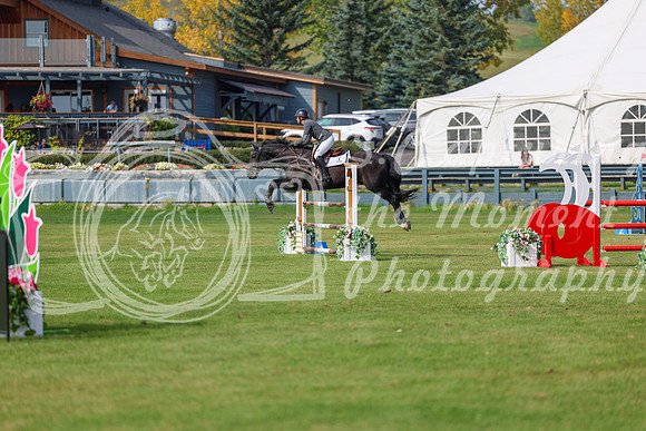 2025 - Shea - Fall Finale - Sunday September 14th - 11492