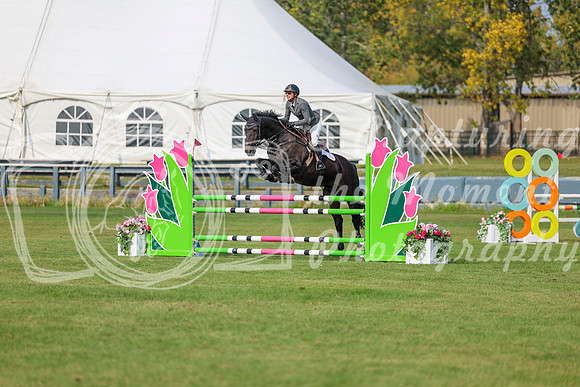 2025 - Shea - Fall Finale - Sunday September 14th - 11493