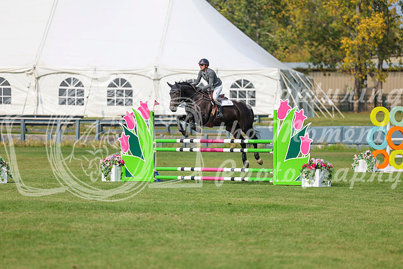 2025 - Shea - Fall Finale - Sunday September 14th - 11496