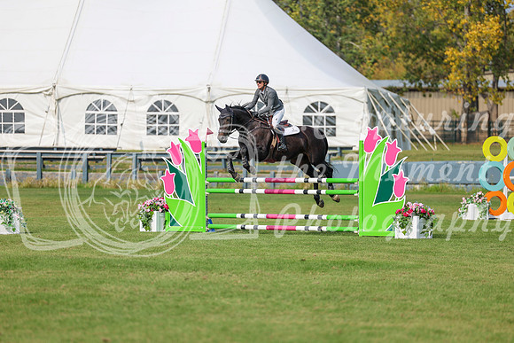 2025 - Shea - Fall Finale - Sunday September 14th - 11497