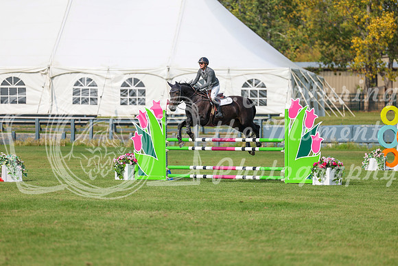 2025 - Shea - Fall Finale - Sunday September 14th - 11498