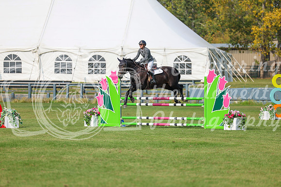 2025 - Shea - Fall Finale - Sunday September 14th - 11499