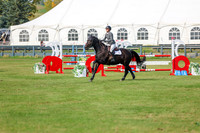 2025 - Shea - Fall Finale - Sunday September 14th - 11500