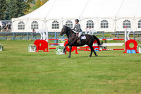 2025 - Shea - Fall Finale - Sunday September 14th - 11501