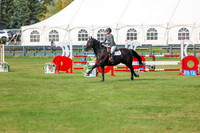 2025 - Shea - Fall Finale - Sunday September 14th - 11502
