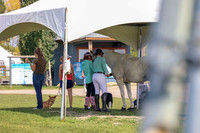 2025 - Mara - Fall Finale - Sunday September 14th - 14374