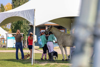 2025 - Mara - Fall Finale - Sunday September 14th - 14383