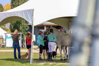2025 - Mara - Fall Finale - Sunday September 14th - 14384
