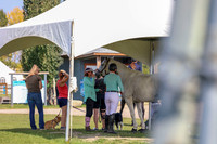 2025 - Mara - Fall Finale - Sunday September 14th - 14386