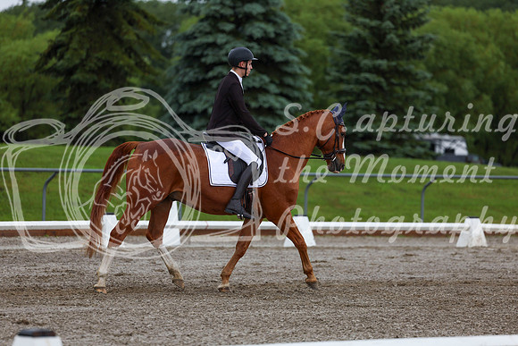 2025 - Dressage Festival - Sunday July 6th - 01357