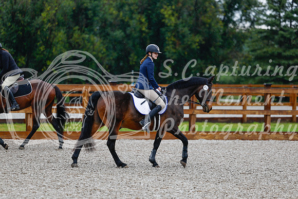 2025 - Haylee - Picco Horse Show - Sunday July 27th 00119