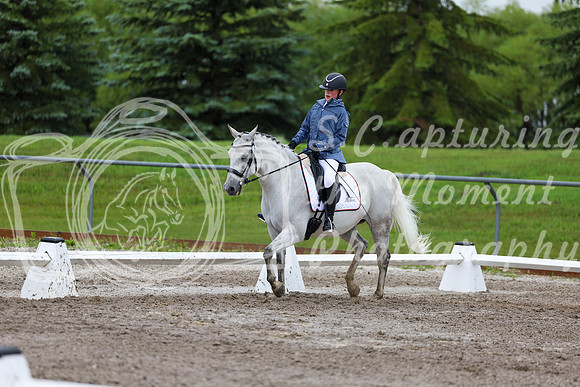 2025 - Dressage Festival - Sunday July 6th - 04899