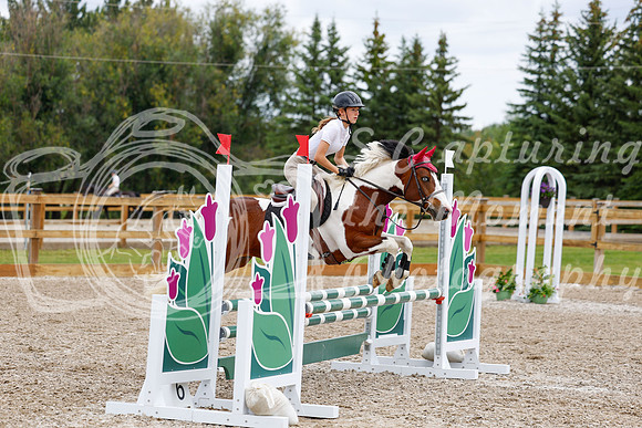 2025 - Haylee - Picco Horse Show - Saturday July 26th 04621