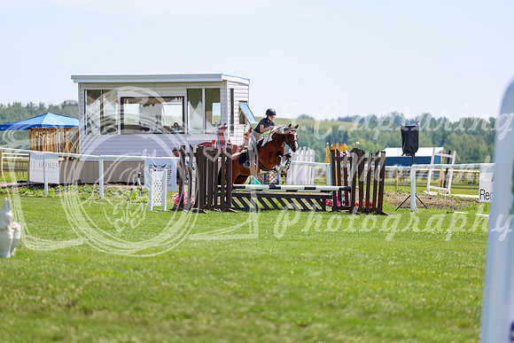 2025 - Shea - Teesdale - Thursday July 24th - 01910
