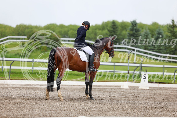 2025 - Dressage Festival - Sunday July 6th - 04267