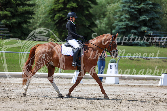 2025 - Dressage Festival - Saturday July 5th - 10100