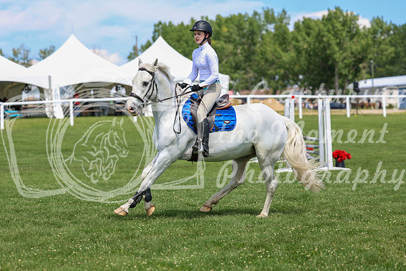 2025 - Shea - Teesdale - Thursday July 24th - 03157