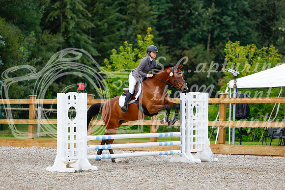 2025 - Haylee - Picco Horse Show - Sunday July 27th 01839