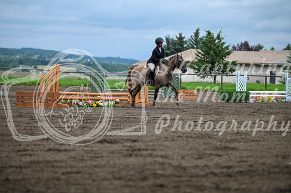 2025 - MJ - Teesdale - Saturday July 26th - 09229