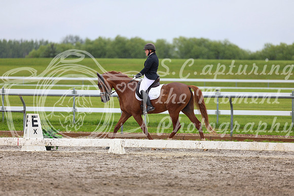 2025 - Dressage Festival - Sunday July 6th - 09004