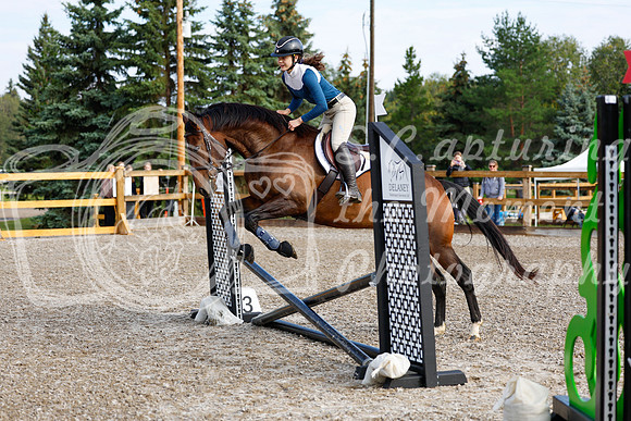 2025 - Haylee - Picco Horse Show - Saturday July 26th 00191
