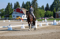 2025 - Dressage Festival - Saturday July 5th - 00099
