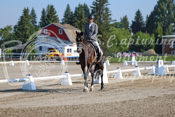 2025 - Dressage Festival - Saturday July 5th - 00099
