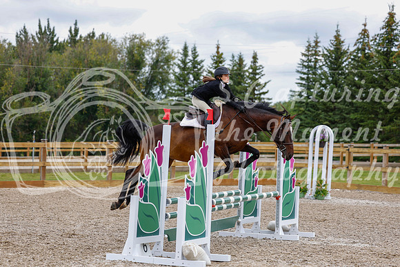 2025 - Haylee - Picco Horse Show - Saturday July 26th 04327