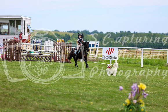 2025 - Shea - Teesdale - Thursday July 24th - 03823