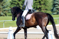 2025 - Dressage Festival - Saturday July 5th - 00091
