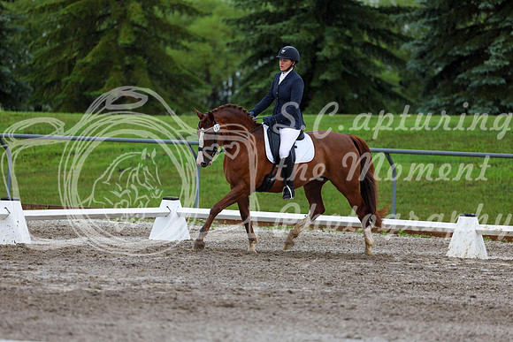 2025 - Dressage Festival - Sunday July 6th - 05316