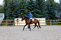 2025 - Haylee - Picco Horse Show - Sunday July 27th 00020