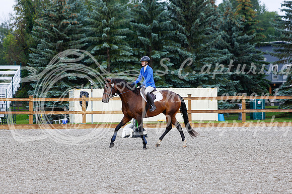 2025 - Haylee - Picco Horse Show - Sunday July 27th 00020