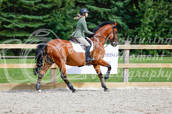 2025 - Haylee - Picco Horse Show - Saturday July 26th 08283