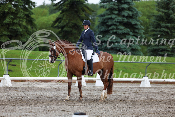 2025 - Dressage Festival - Sunday July 6th - 05224