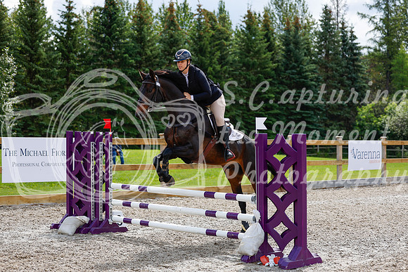 2025 - Haylee - Picco Horse Show - Sunday July 27th 03375