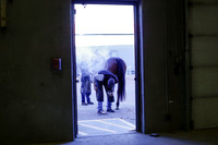 2025 - Haylee - Royal West - Thursday October 16th - 10837