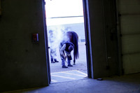 2025 - Haylee - Royal West - Thursday October 16th - 10835