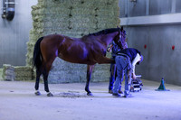 2025 - Shea - Royal West - Thursday October 16th - 09022