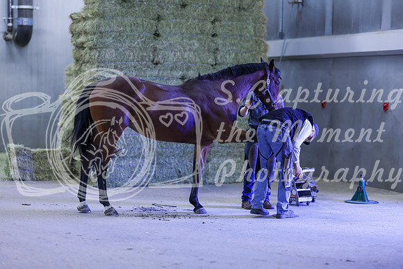 2025 - Shea - Royal West - Thursday October 16th - 09022