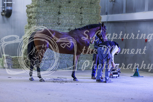 2025 - Shea - Royal West - Thursday October 16th - 09023