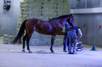 2025 - Shea - Royal West - Thursday October 16th - 09027