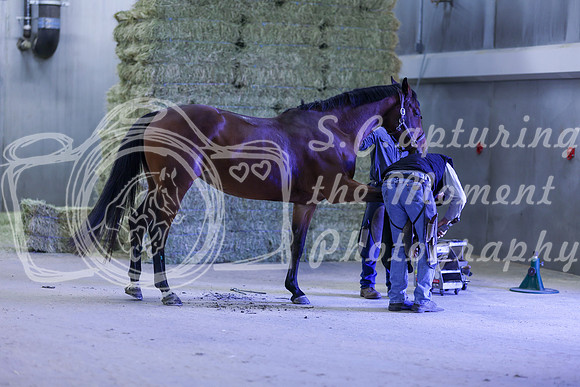 2025 - Shea - Royal West - Thursday October 16th - 09027