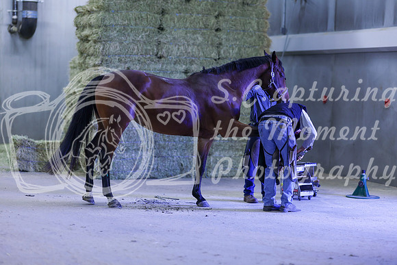 2025 - Shea - Royal West - Thursday October 16th - 09028