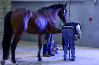 2025 - Shea - Royal West - Thursday October 16th - 09029