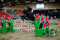 2025 - Haylee - Royal West - Thursday October 16th - 10974