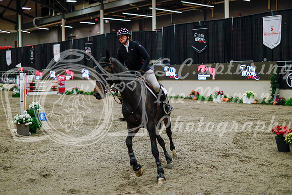 2025 - Haylee - Royal West - Thursday October 16th - 10981